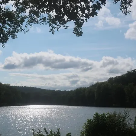 Bassompre Entre Vittel Et Neufchateau Chatenois (Vosges)